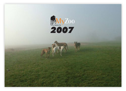 MyZoo Calendar 2007