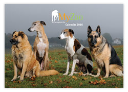 MyZoo Calendar 2010