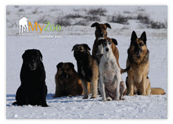 MyZoo Calendar 2011