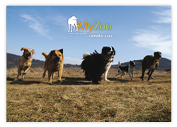 MyZoo Calendar 2012