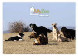 MyZoo Calendar 2012