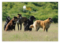 MyZoo Calendar 2012