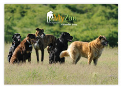 MyZoo Calendar 2012