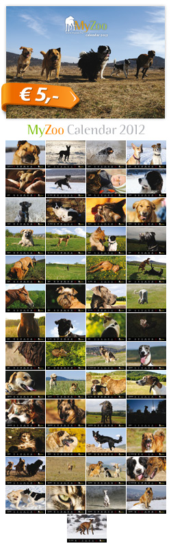 MyZoo Calendar 2012