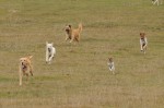 running_01
