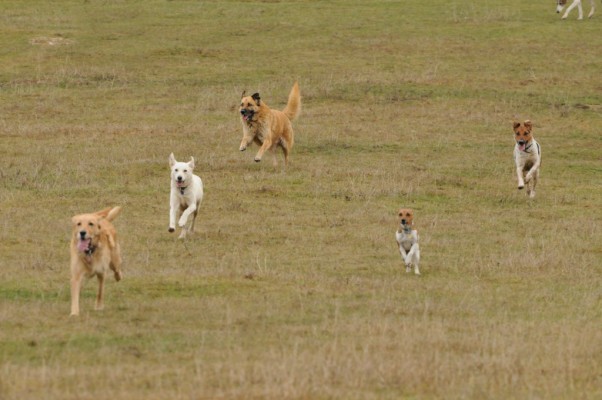running_01