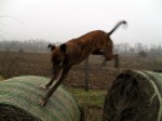 balejump_03