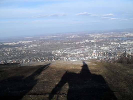 View to the city