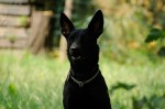 Bella