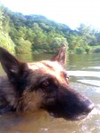 Kyra swimming