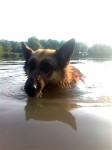 Kyra swimming