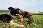 Maya and Cikk-Cakk