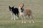 Maya and Ronja