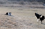 Murphy and Maya