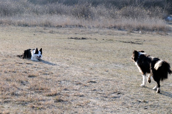 Murphy and Maya
