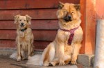 Izzie and Freya