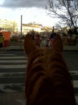 Széll Kálmán square