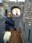 Vienna Gate
