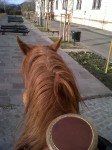 Tóth Árpád promenade