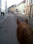 Úri street