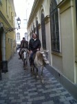 Dárda street