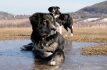 Nico and Maya