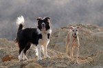 Maya, Maggie