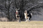 Nico, Maya