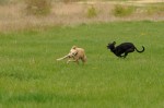 Coco and Maggie