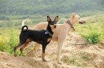 Dinho and Maggie