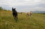 Coco and Maggie