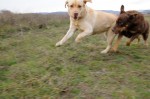 Kara and Murphy