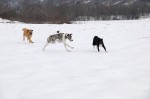 Csoki, Manó and Frida