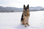 Kyra