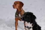 Frida and Felx