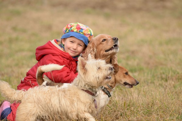 Zoey, Tyson, Buddy and Lili